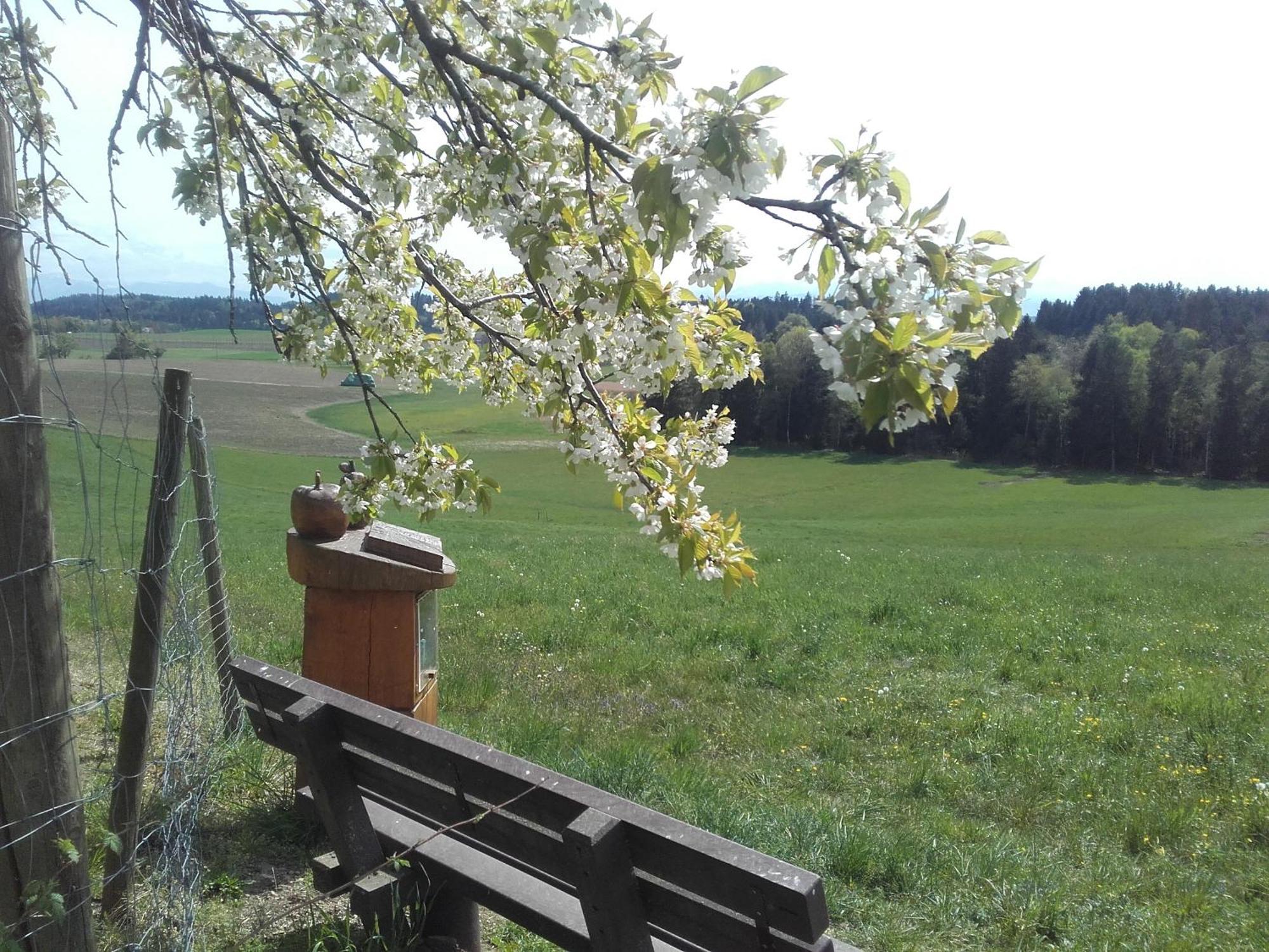 Ferienhof Metzler Bodnegg 외부 사진